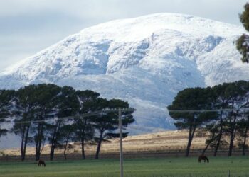 Agradecimiento a la actuación de la policía y bomberos del distrito durante la nevada