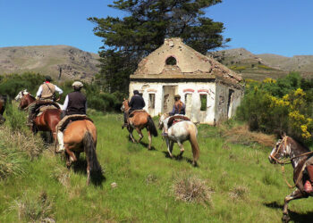 En “El Día Nacional del Caballo” la Escuela Agropecuaria invita a la 3er. Cabalgata (videoentrevista)