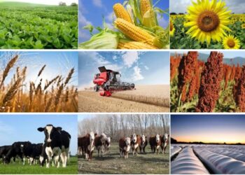 “Otra vez el campo es tomado como una fuente inagotable de financiación fiscal”