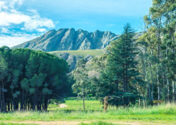 Estos son los feriados puente para 2018 y 2019