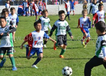 Importante encuentro de escuelitas de fútbol en el Agustín Ruppel