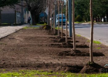 Inició la etapa final de puesta en valor de la Plaza E. Tornquist