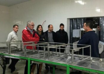 La miel del Sudoeste de la Provincia se abre paso en el mercado de Francia