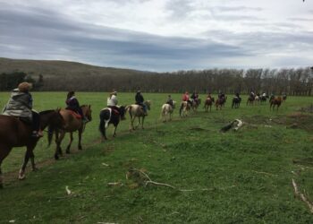 SE REALIZARON LAS PRIMERAS EXCURSIONES PROGRAMADAS PARA LA JORNADA “SE TURISTA EN TU PUEBLO” (FOTOS)