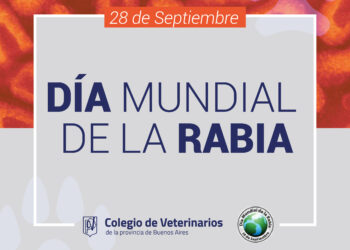 28 DE SEPTIEMBRE | DÍA MUNDIAL DE LA RABIA:  CONCIENTIZAR Y PREVENIR