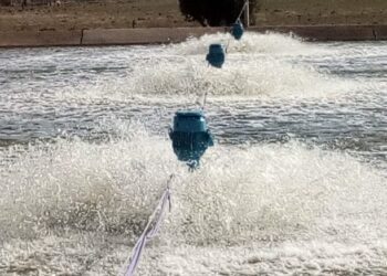 Avanzan las tareas de limpieza en la planta de Absa