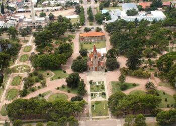 LOS ÁRBOLES MUEREN DE PIE