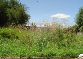 SE ENCUENTRA VIGENTE ORDENANZA SOBRE MANTENIMIENTO DE BALDÍOS Y VEREDAS