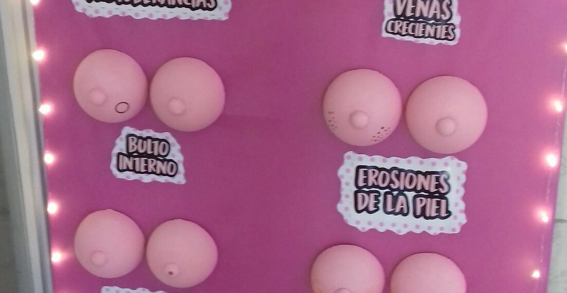 LA SECRETARÍA DE SALUD LANZÓ LA CAMPAÑA “LUCHÁ COMO UNA CHICA” (FOTOS)