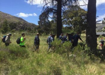 Los Bomberos rescatan a una persona en el Cerro Ventana
