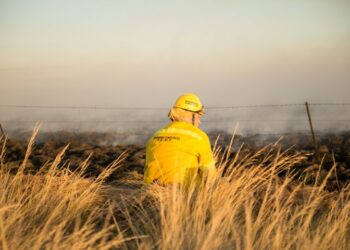 Se quemaron alrededor de 400 hectáreas en la zona de Est. El Indio (fotos y próximamente video)