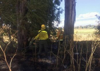 Controlaron un incendio de pastos naturales en la Ruta 76