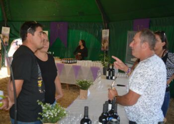 BODEGA SALDUNGARAY Y CERRO COLORADO ESTUVIERON PRESENTES EN LA FIESTA DE LA VENDIMIA (VIDEOS ENTREVISTAS)