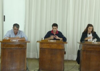 EL CONCEJAL RAISING DESTACÓ LA APROBACIÓN DE LA ORDENANZA DEL USO TERAPÉUTICO DEL CANNABIS (VIDEO)