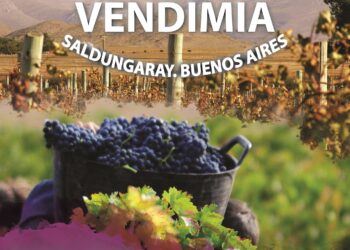 Llega este fin de semana la 6ta edición de la FIESTA DE LA VENDIMIA (VIDEO ENTREVISTA)