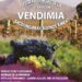 Llega este fin de semana la 6ta edición de la FIESTA DE LA VENDIMIA (VIDEO ENTREVISTA)