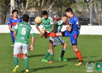 Fixture completo del torneo de divisiones inferiores de fútbol