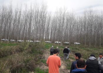 Invitan a escuelas agropecuarias de la Provincia a presentar proyectos forestales