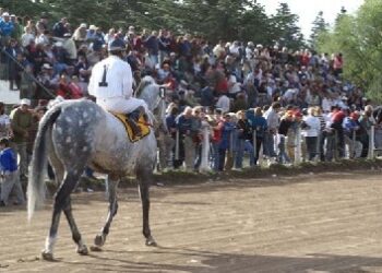 PROGRAMA COMPLETO PARA LA JORNADA DE TURF DEL DOMINGO 14 DE ABRIL