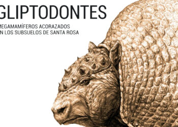 Charla “La Fauna de Tornquist hace 10 mil años”