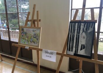 Ganadores de Torneos Bonaerenses etapa distrital – Cultura (Fotos)