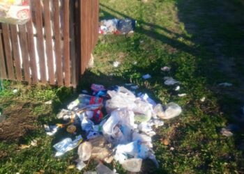 Uso incorrecto de punto limpio en Tornquist