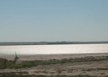 Hallaron restos de un esqueleto en una laguna de Saavedra