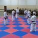 Capacitación de instructores y evaluación a alumnos de Taekwon Do (2 videos)