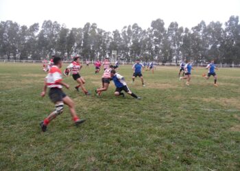 RUGBY: “Los Jabalíes” debutarán de local el 8 de setiembre (Videos)