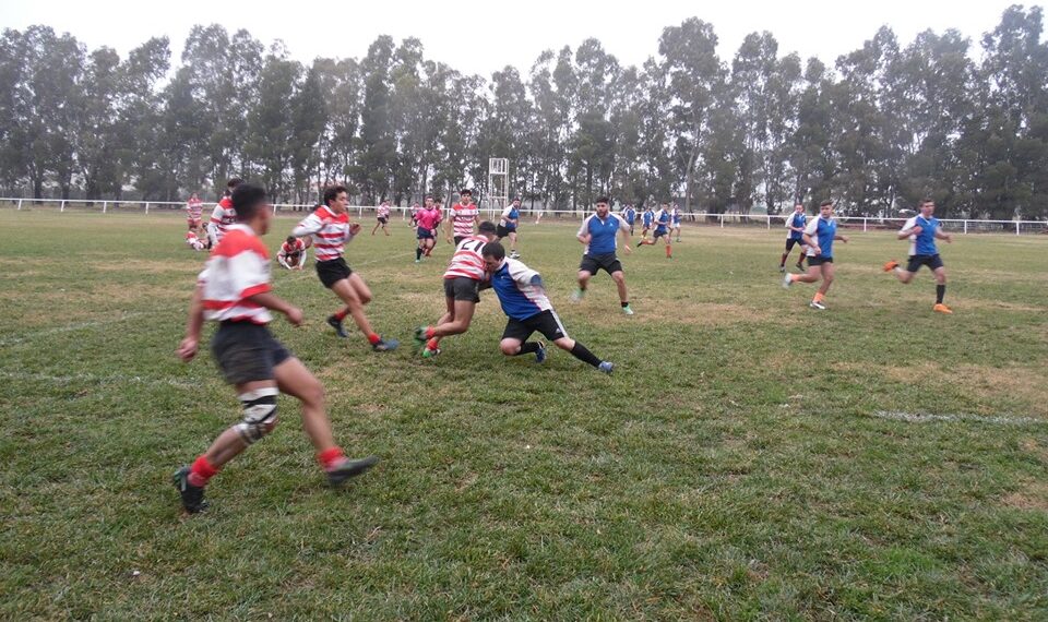 RUGBY: “Los Jabalíes” debutarán de local el 8 de setiembre (Videos)