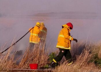 Los bomberos acudieron esta tarde a dos incendios de pastos (informe y fotos)