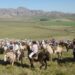 Se viene la 9° edición de la cabalgata “Sierras de Tornquist”