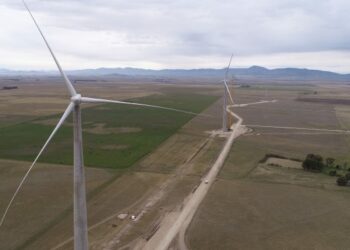 Se realiza éste sábado una visita al Parque Eólico “Vientos Bonaerenses”