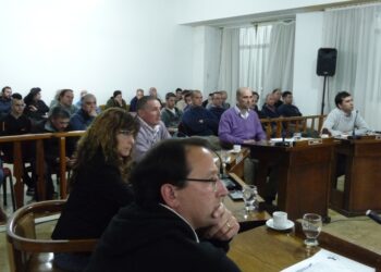 Todo lo que se dijo en  la última sesión del HCD. (informe, fotos y videos)