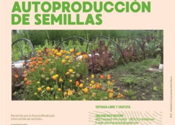 Habrá una nueva capacitación en Huerta Familiar