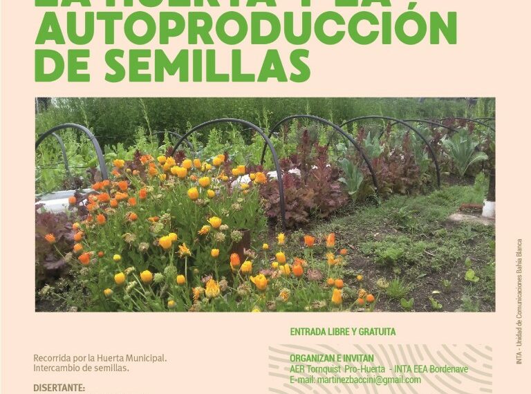 Habrá una nueva capacitación en Huerta Familiar