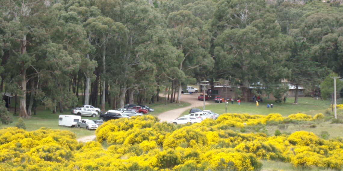 ARQUERÍA: Con gran éxito se realizó la final del Torneo Bonarense 3D (46 Fotos)