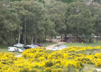 ARQUERÍA: Con gran éxito se realizó la final del Torneo Bonarense 3D (46 Fotos)