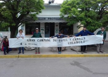 Campaña de papel y cartón del Taller Protegido de Tornquist (Nota)