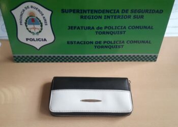 ALLANAMIENTO POSITIVO POR UN HECHO DE HURTO