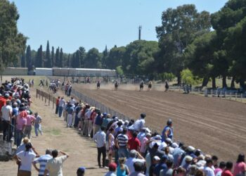 Se realizó la última jornada hípica del 2019 (Nota)
