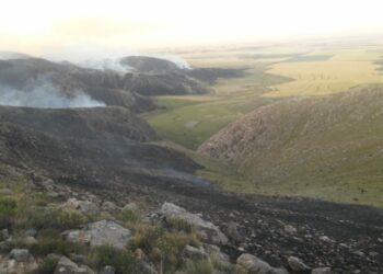 El incendio en el sector serrano podría ser extinguido en las próximas horas (Nota y fotos)