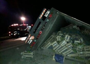 Volcó un camión térmico en la RN 33