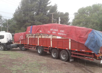 Fueron entregados más de 12 toneladas de cartón para su reciclaje