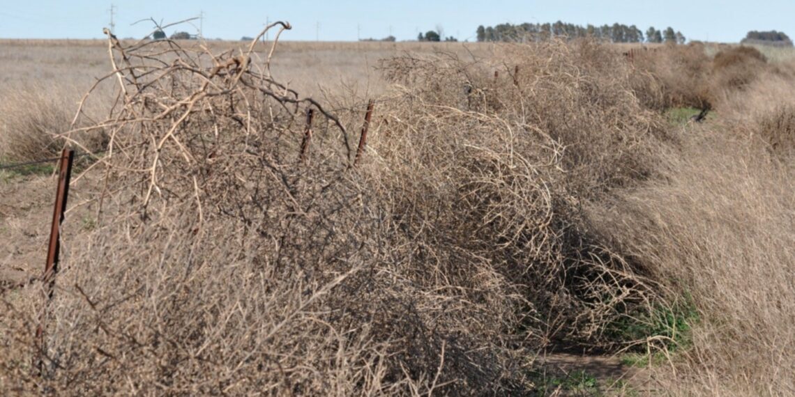 La ley Impositiva de Kicillof, vital para cinco distritos del Sudoeste