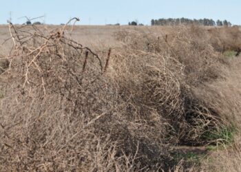 La ley Impositiva de Kicillof, vital para cinco distritos del Sudoeste