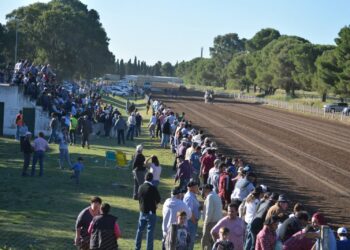 Este domingo vuelve el Turf a Tornquist (Programa de carreras)