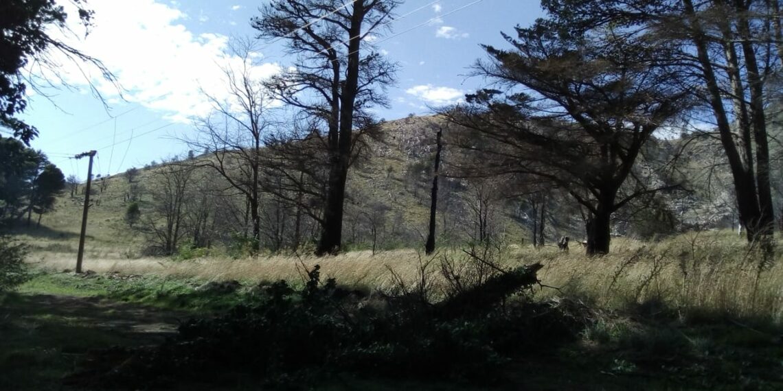 Se restableció el servicio de energía en Villa Ventana