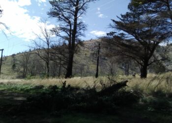 Se restableció el servicio de energía en Villa Ventana