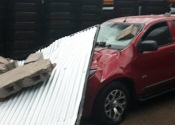 Pigüé y Puan sufrieron la furia del temporal, que dejó innumerables destrozos